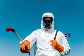 Best Bee and Wasp Removal  in Western Springs, IL